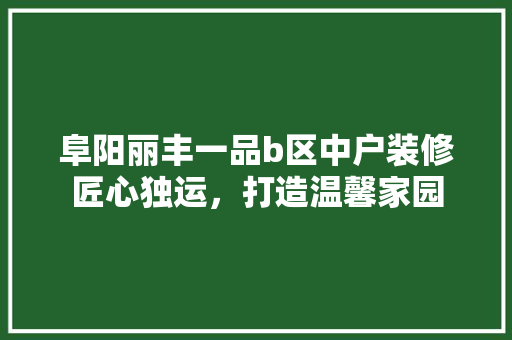 阜阳丽丰一品b区中户装修匠心独运，打造温馨家园