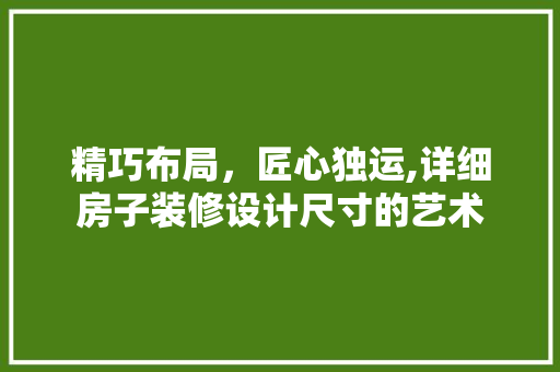 精巧布局，匠心独运,详细房子装修设计尺寸的艺术