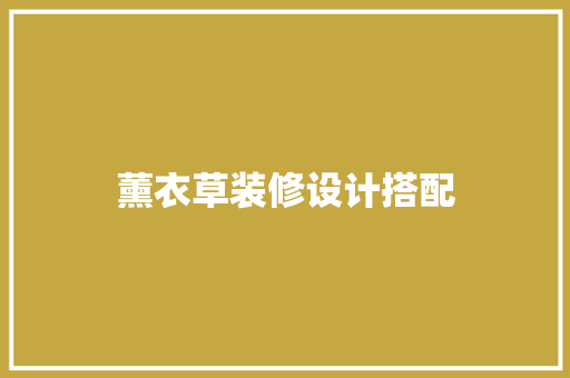薰衣草装修设计搭配