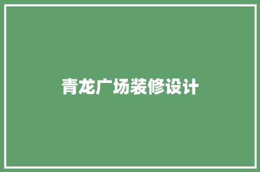 青龙广场装修设计
