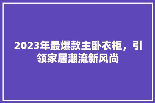 2023年最爆款主卧衣柜，引领家居潮流新风尚