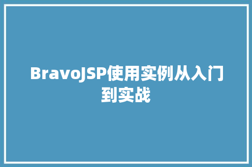 BravoJSP使用实例从入门到实战