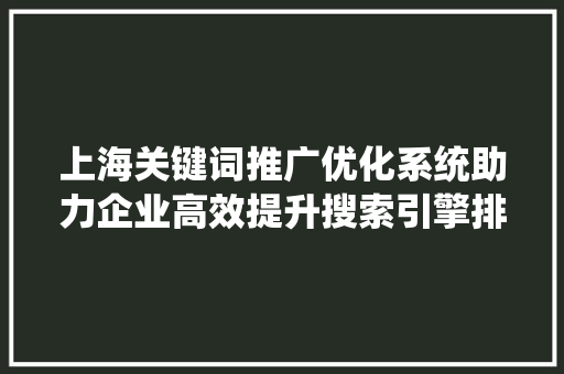 上海关键词推广优化系统助力企业高效提升搜索引擎排名