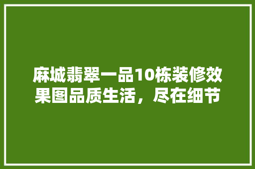 麻城翡翠一品10栋装修效果图品质生活，尽在细节