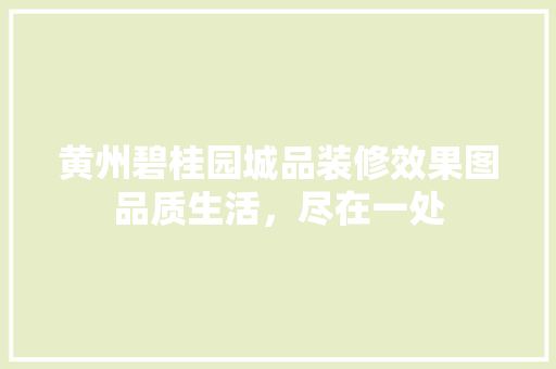 黄州碧桂园城品装修效果图品质生活，尽在一处