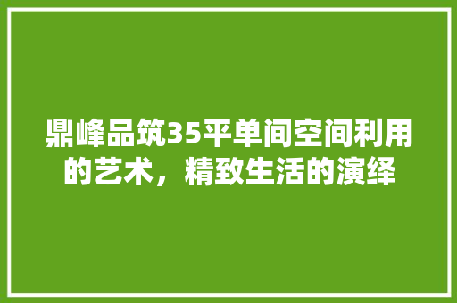 鼎峰品筑35平单间空间利用的艺术，精致生活的演绎