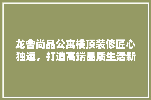 龙舍尚品公寓楼顶装修匠心独运，打造高端品质生活新标杆