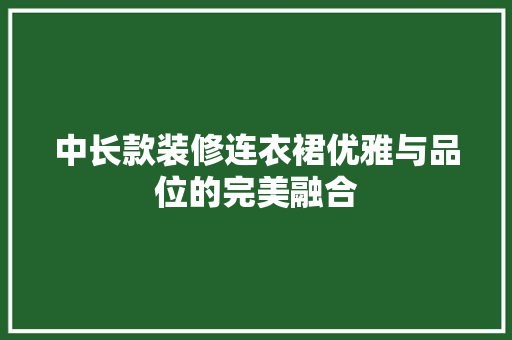 中长款装修连衣裙优雅与品位的完美融合