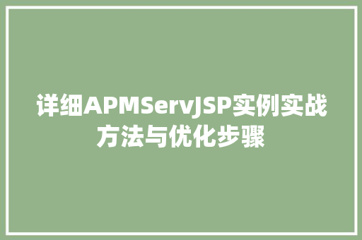详细APMServJSP实例实战方法与优化步骤  第1张
