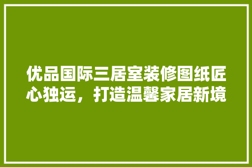 优品国际三居室装修图纸匠心独运，打造温馨家居新境界