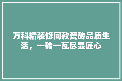 万科精装修同款瓷砖品质生活，一砖一瓦尽显匠心