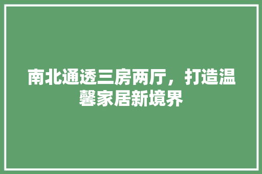 南北通透三房两厅，打造温馨家居新境界