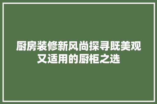 厨房装修新风尚探寻既美观又适用的厨柜之选