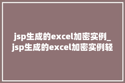 jsp生成的excel加密实例_jsp生成的excel加密实例轻松实现数据安全与高效管理