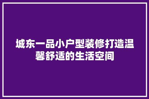 城东一品小户型装修打造温馨舒适的生活空间