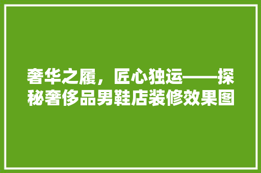 奢华之履，匠心独运——探秘奢侈品男鞋店装修效果图背后的设计哲学
