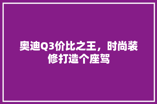 奥迪Q3价比之王，时尚装修打造个座驾