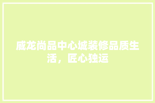 威龙尚品中心城装修品质生活，匠心独运