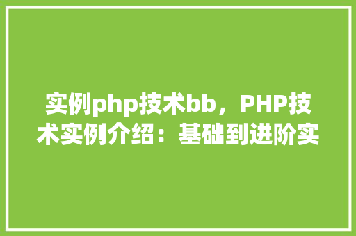 实例php技术bb，PHP技术实例介绍：基础到进阶实战方法