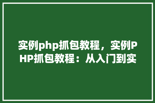 实例php抓包教程，实例PHP抓包教程：从入门到实战