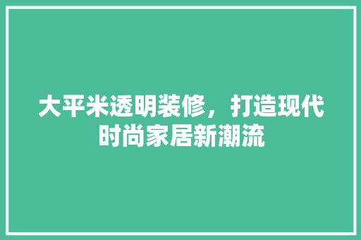 大平米透明装修，打造现代时尚家居新潮流