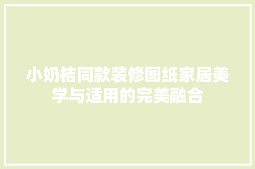 小奶桔同款装修图纸家居美学与适用的完美融合