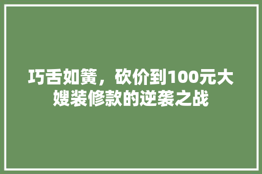 巧舌如簧，砍价到100元大嫂装修款的逆袭之战