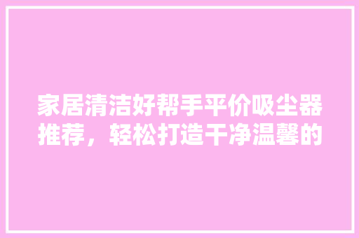 家居清洁好帮手平价吸尘器推荐，轻松打造干净温馨的家