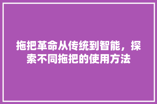 拖把革命从传统到智能，探索不同拖把的使用方法