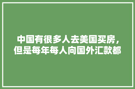 奢华与细腻的交织——奢侈品护理店前台装修图赏析
