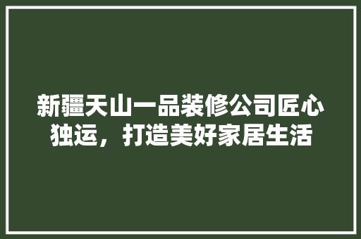 新疆天山一品装修公司匠心独运，打造美好家居生活