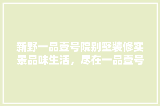 新野一品壹号院别墅装修实景品味生活，尽在一品壹号院