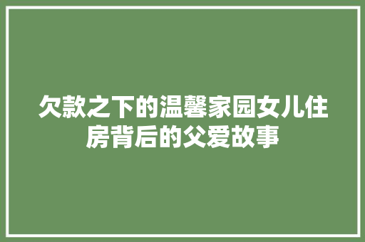 欠款之下的温馨家园女儿住房背后的父爱故事