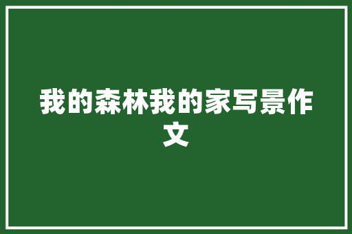 燃气灶选购指南四大品牌，四款热销燃气灶，总有一款适合您