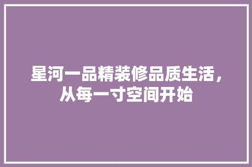 星河一品精装修品质生活，从每一寸空间开始