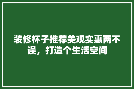 装修杯子推荐美观实惠两不误，打造个生活空间