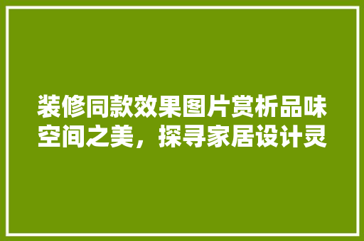 装修同款效果图片赏析品味空间之美，探寻家居设计灵感