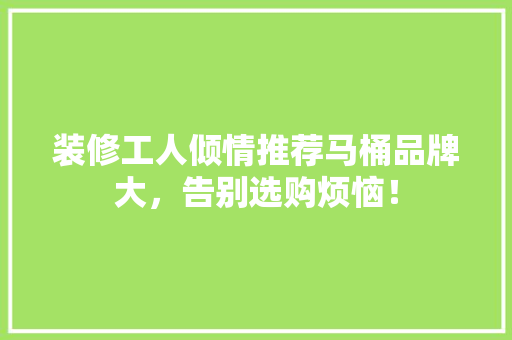 装修工人倾情推荐马桶品牌大，告别选购烦恼！