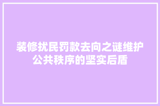 装修扰民罚款去向之谜维护公共秩序的坚实后盾