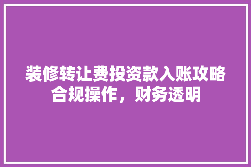 装修转让费投资款入账攻略合规操作，财务透明