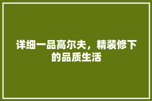 详细一品高尔夫，精装修下的品质生活