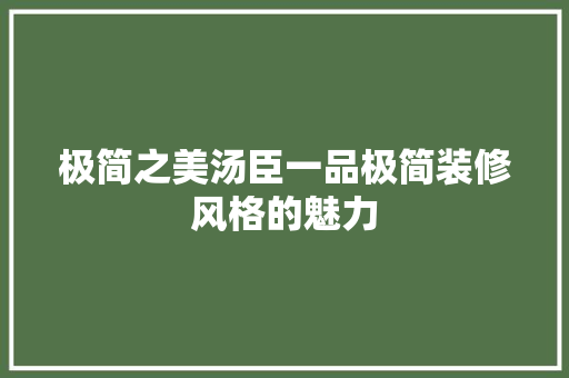 极简之美汤臣一品极简装修风格的魅力