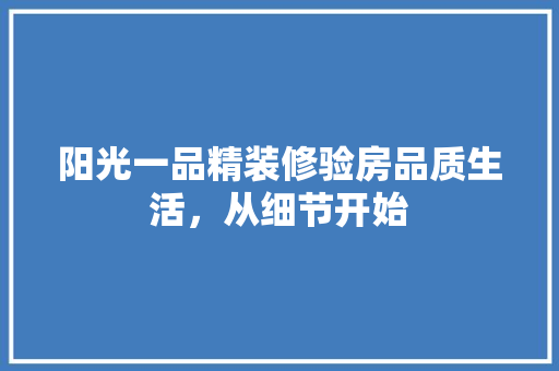 阳光一品精装修验房品质生活，从细节开始
