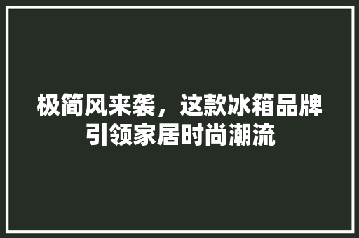 极简风来袭，这款冰箱品牌引领家居时尚潮流