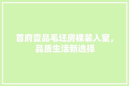 首府壹品毛坯房裸装入室，品质生活新选择