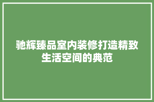驰辉臻品室内装修打造精致生活空间的典范