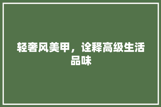 轻奢风美甲，诠释高级生活品味