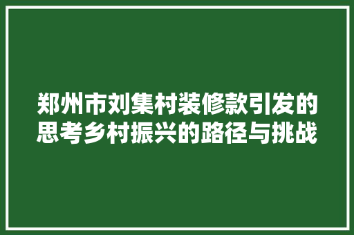 郑州市刘集村装修款引发的思考乡村振兴的路径与挑战