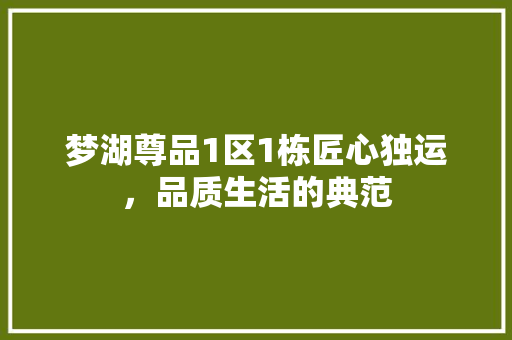 梦湖尊品1区1栋匠心独运，品质生活的典范