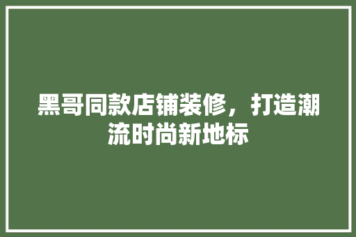 黑哥同款店铺装修，打造潮流时尚新地标